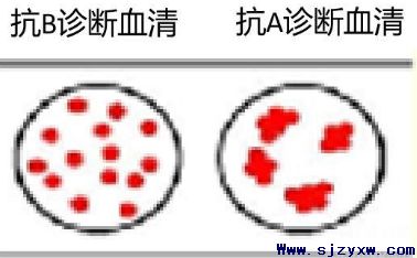 石家庄医学院提醒2020年对口高考时间和流程说明